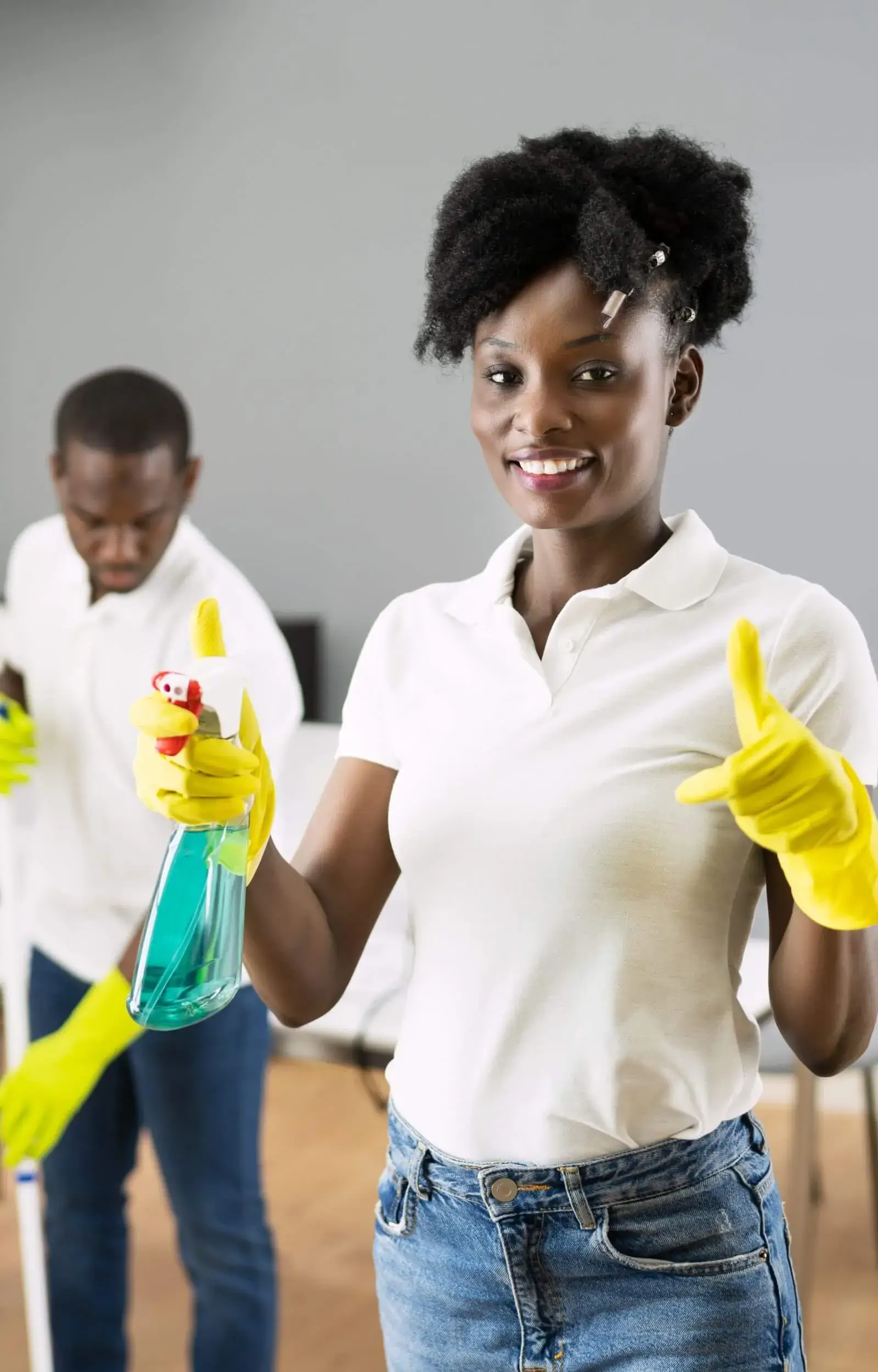 Spotless Pro Cleaning Services Spotless Pros cleaning Purpose